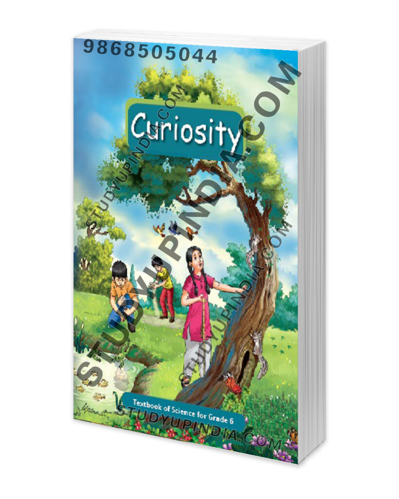 NCERT Class 6 Curiosity Science Book 2024 Edition StudyUpIndia