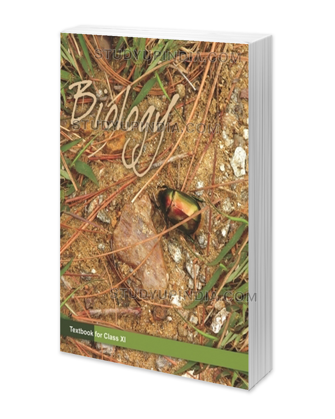 NCERT Class 11 Biology English Medium StudyUpIndia