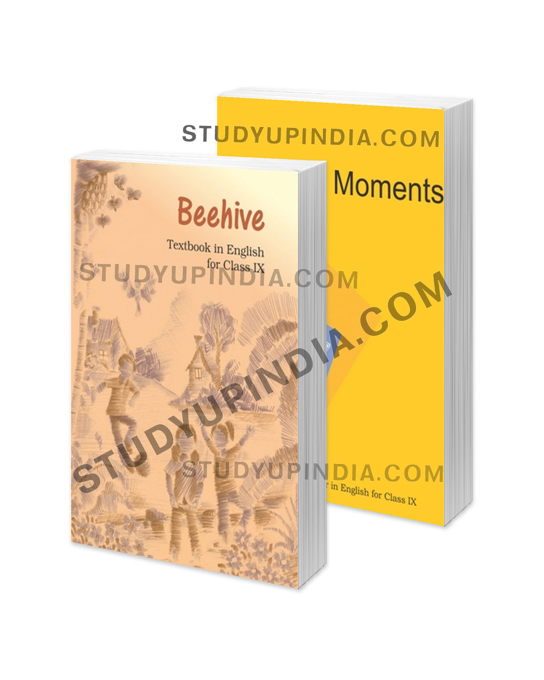 ncert-class-9-english-beehive-moment-combo-set