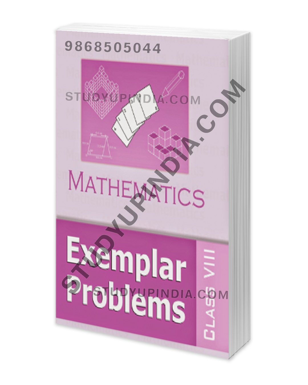 ncert class 8 math exemplar