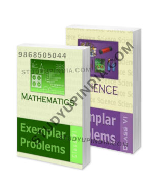 NCERT class 6 math & science Exemplar
